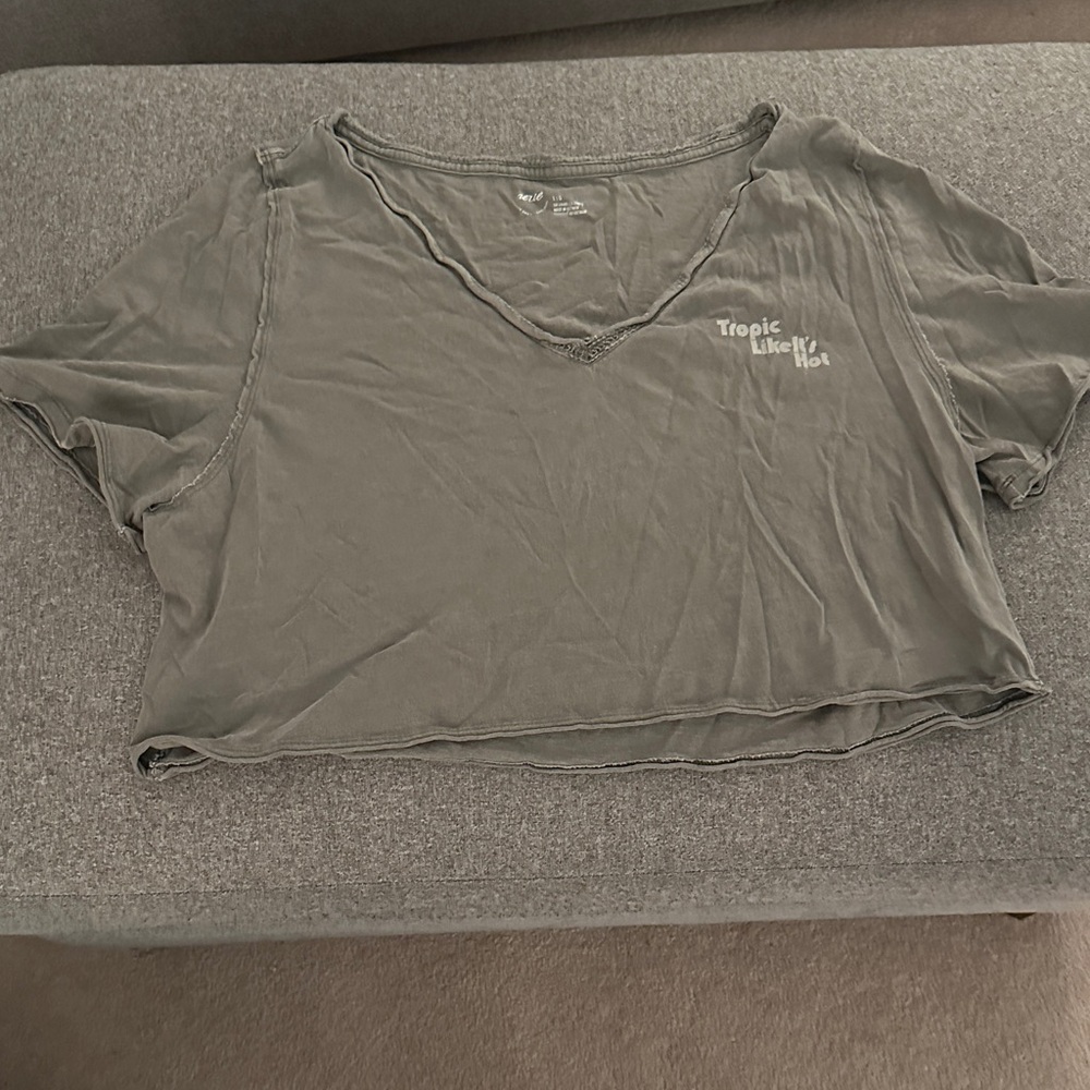 Aerie Gray Crop Top with Slogan